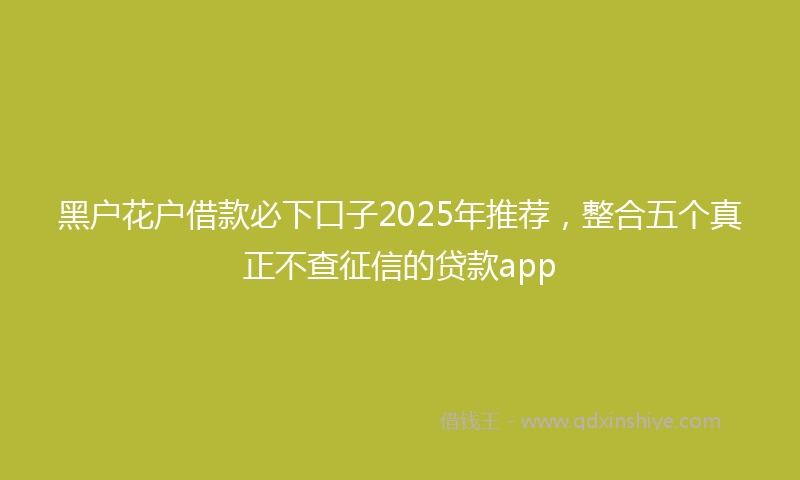 黑户花户借款必下口子2025年推荐，整合五个真正不查征信的贷款app