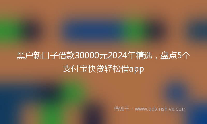 黑户新口子借款30000元2024年精选，盘点5个支付宝快贷轻松借app