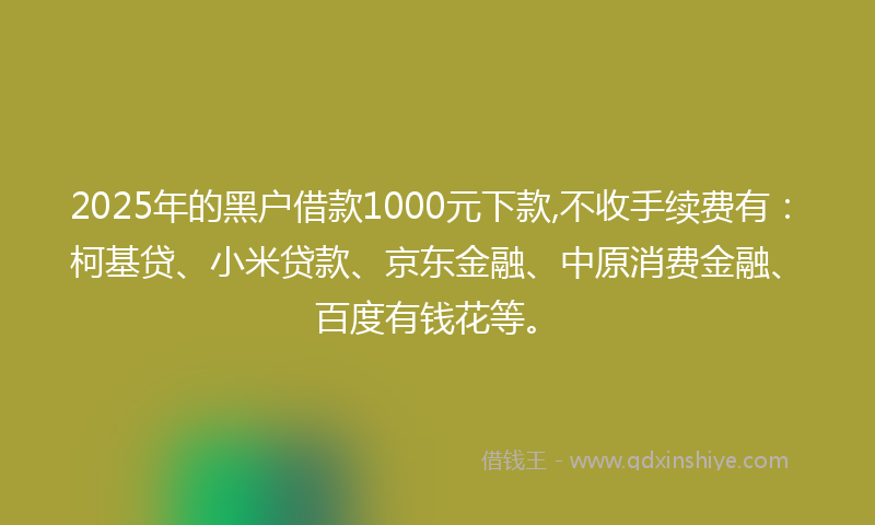 2025年的黑户借款1000元下款,不收手续费有：柯基贷、小米贷款、京东金融、中原消费金融、百度有钱花等。