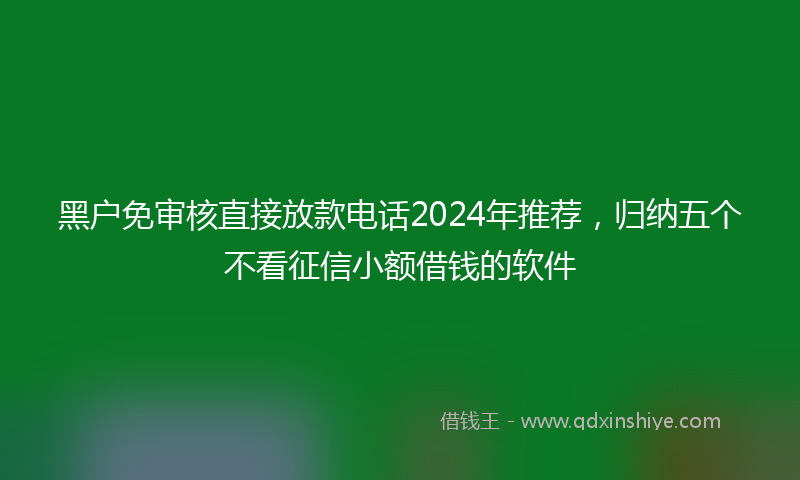 黑户免审核直接放款电话2024年推荐，归纳五个不看征信小额借钱的软件
