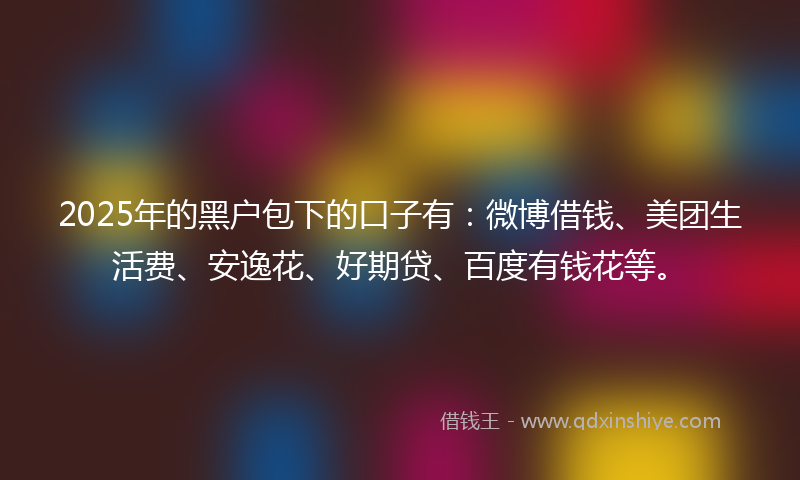 2025年的黑户包下的口子有：微博借钱、美团生活费、安逸花、好期贷、百度有钱花等。