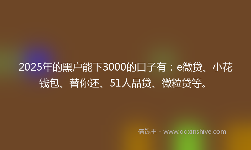 2025年的黑户能下3000的口子有：e微贷、小花钱包、替你还、51人品贷、微粒贷等。