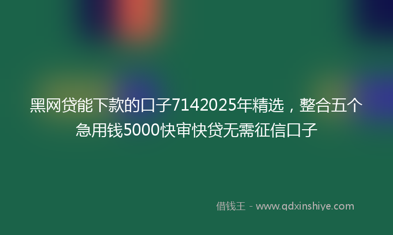黑网贷能下款的口子7142025年精选，整合五个急用钱5000快审快贷无需征信口子