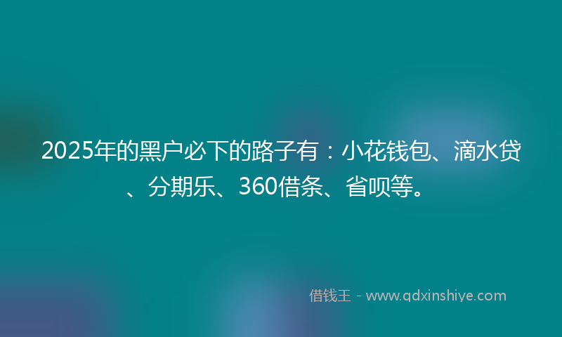 2025年的黑户必下的路子有：小花钱包、滴水贷、分期乐、360借条、省呗等。