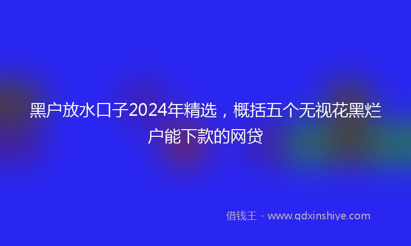 黑户放水口子2024年精选，概括五个无视花黑烂户能下款的网贷