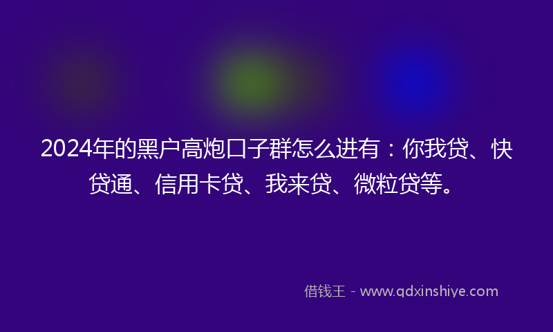 2024年的黑户高炮口子群怎么进有：你我贷、快贷通、信用卡贷、我来贷、微粒贷等。