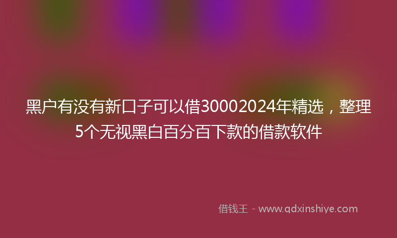 黑户有没有新口子可以借30002024年精选，整理5个无视黑白百分百下款的借款软件