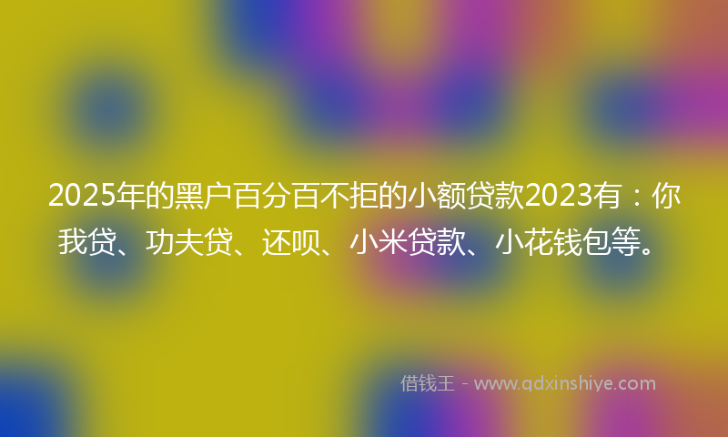 2025年的黑户百分百不拒的小额贷款2023有：你我贷、功夫贷、还呗、小米贷款、小花钱包等。