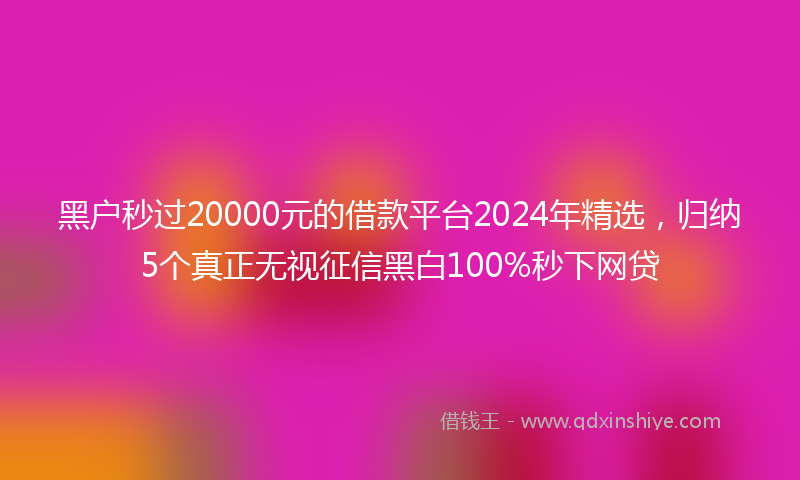 黑户秒过20000元的借款平台2024年精选，归纳5个真正无视征信黑白100%秒下网贷