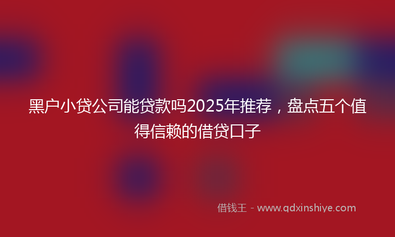 黑户小贷公司能贷款吗2025年推荐，盘点五个值得信赖的借贷口子