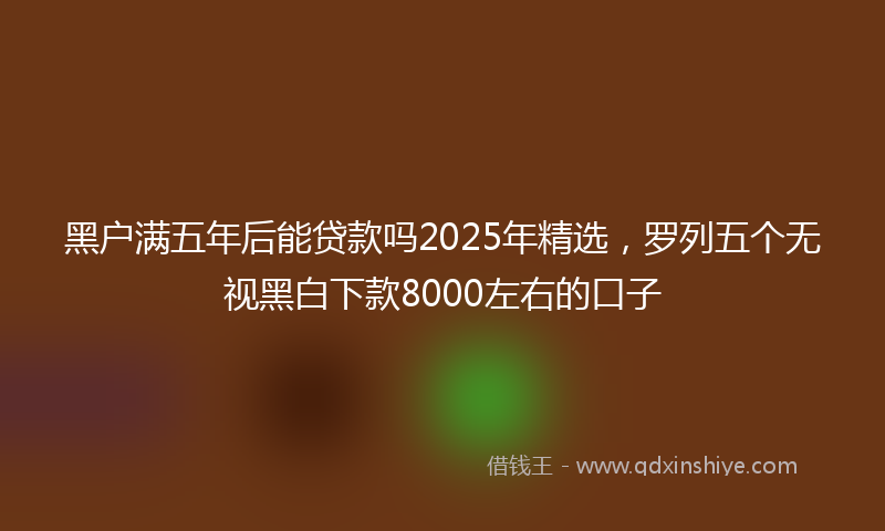 黑户满五年后能贷款吗2025年精选，罗列五个无视黑白下款8000左右的口子