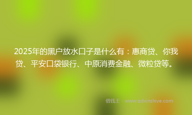 2025年的黑户放水口子是什么有：惠商贷、你我贷、平安口袋银行、中原消费金融、微粒贷等。