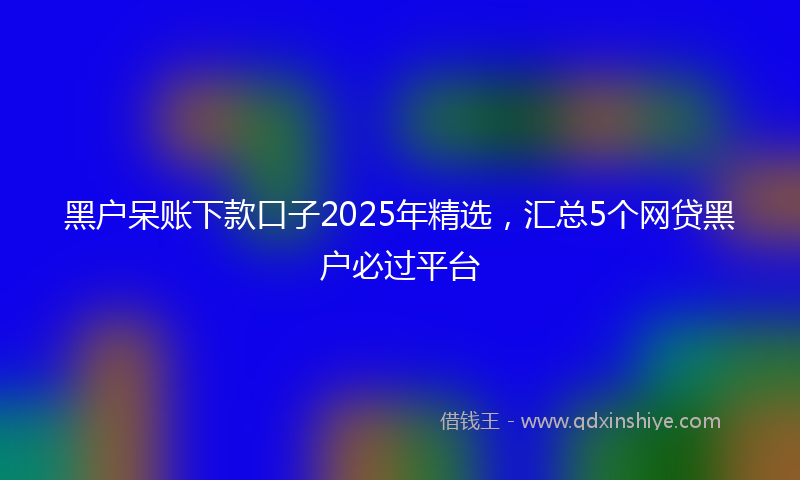 黑户呆账下款口子2025年精选，汇总5个网贷黑户必过平台