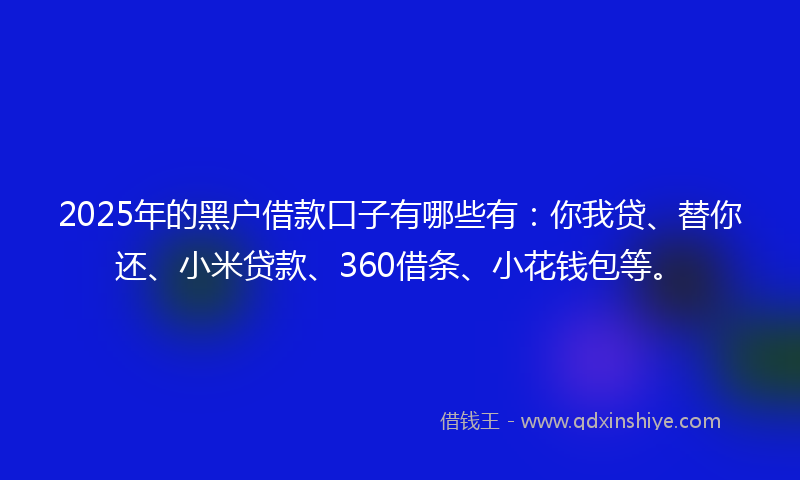 2025年的黑户借款口子有哪些有：你我贷、替你还、小米贷款、360借条、小花钱包等。