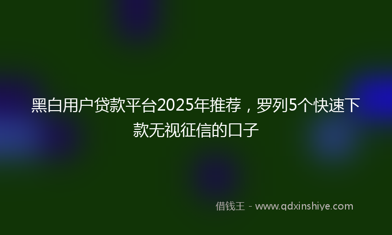 黑白用户贷款平台2025年推荐，罗列5个快速下款无视征信的口子