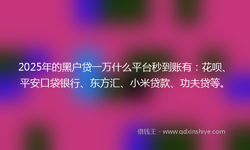 2025年的黑户贷一万什么平台秒到账有：花呗、平安口袋银行、东方汇、小米贷款、功夫贷等。