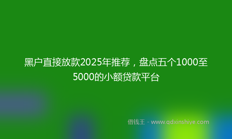 黑户直接放款2025年推荐，盘点五个1000至5000的小额贷款平台