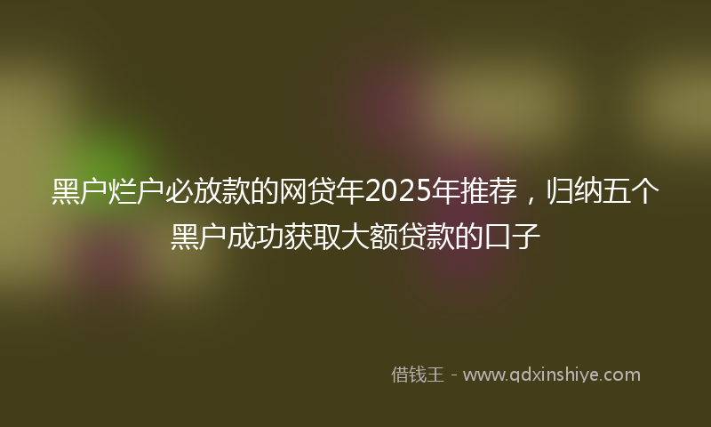 黑户烂户必放款的网贷年2025年推荐，归纳五个黑户成功获取大额贷款的口子