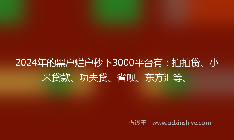 2024年的黑户烂户秒下3000平台有：拍拍贷、小米贷款、功夫贷、省呗、东方汇等。