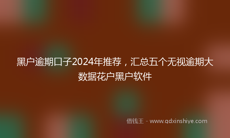 黑户逾期口子2024年推荐，汇总五个无视逾期大数据花户黑户软件