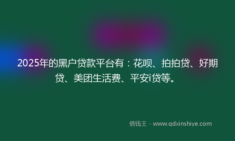 2025年的黑户贷款平台有：花呗、拍拍贷、好期贷、美团生活费、平安i贷等。