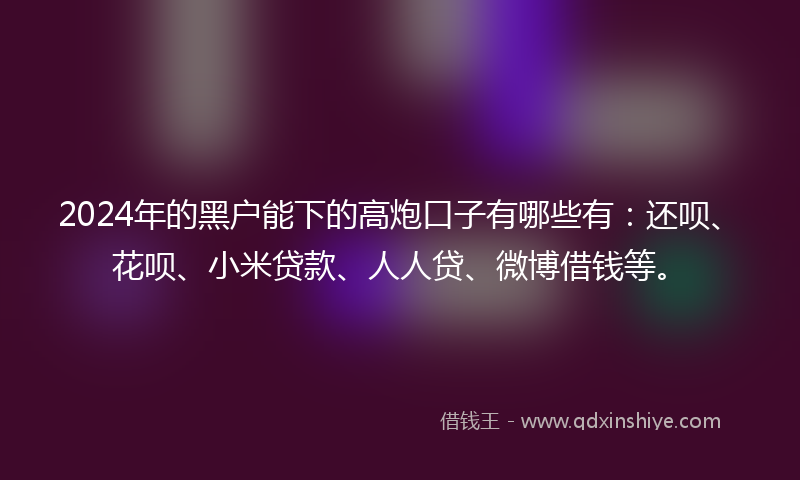 2024年的黑户能下的高炮口子有哪些有：还呗、花呗、小米贷款、人人贷、微博借钱等。