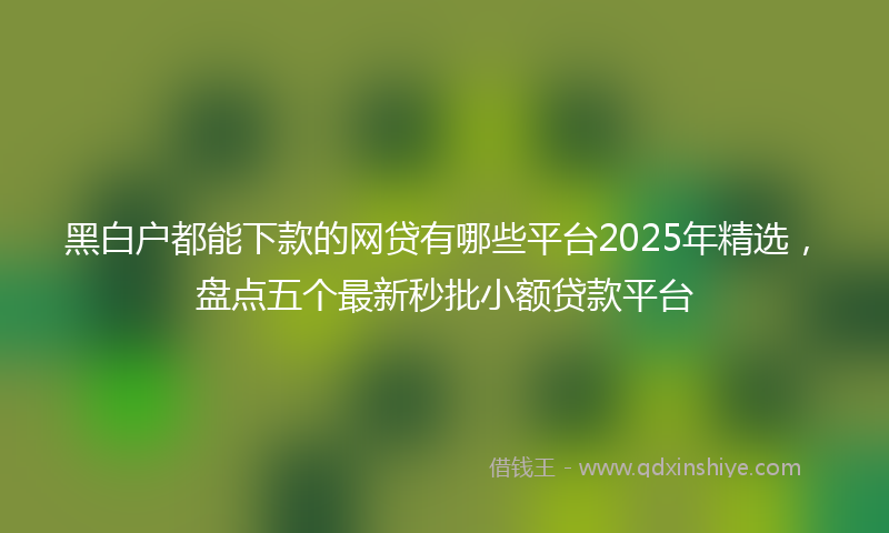 黑白户都能下款的网贷有哪些平台2025年精选，盘点五个最新秒批小额贷款平台