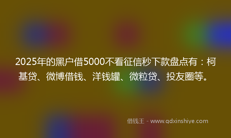 2025年的黑户借5000不看征信秒下款盘点有：柯基贷、微博借钱、洋钱罐、微粒贷、投友圈等。