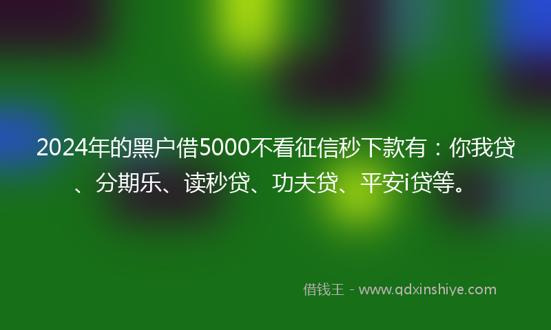 2024年的黑户借5000不看征信秒下款有：你我贷、分期乐、读秒贷、功夫贷、平安i贷等。