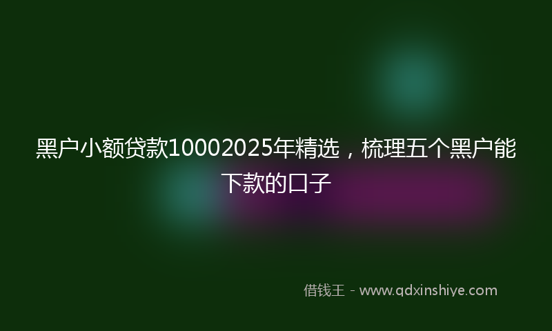 黑户小额贷款10002025年精选，梳理五个黑户能下款的口子
