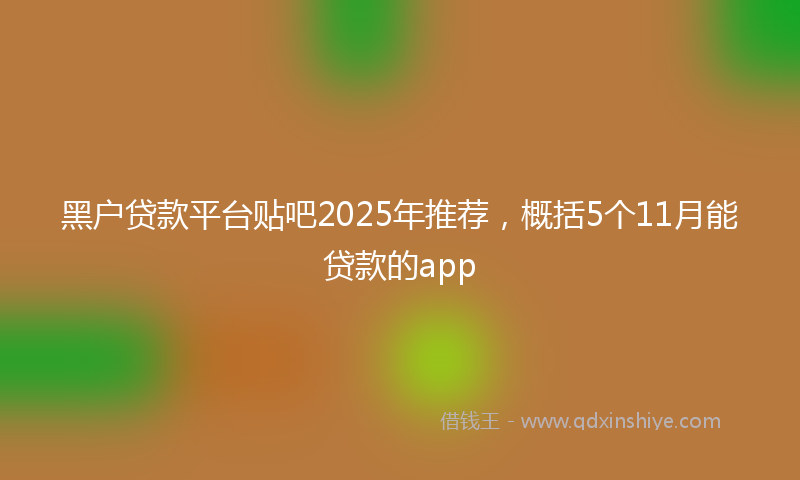 黑户贷款平台贴吧2025年推荐，概括5个11月能贷款的app