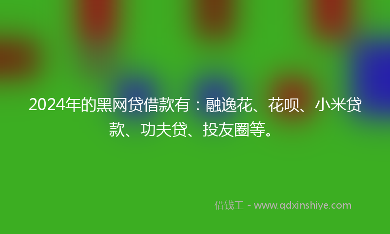 2024年的黑网贷借款有：融逸花、花呗、小米贷款、功夫贷、投友圈等。