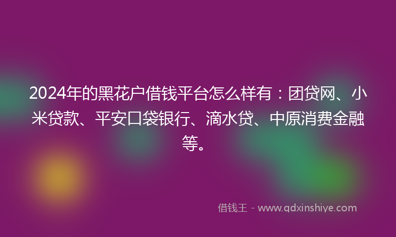 2024年的黑花户借钱平台怎么样有：团贷网、小米贷款、平安口袋银行、滴水贷、中原消费金融等。