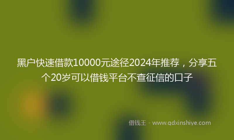 黑户快速借款10000元途径2024年推荐，分享五个20岁可以借钱平台不查征信的口子