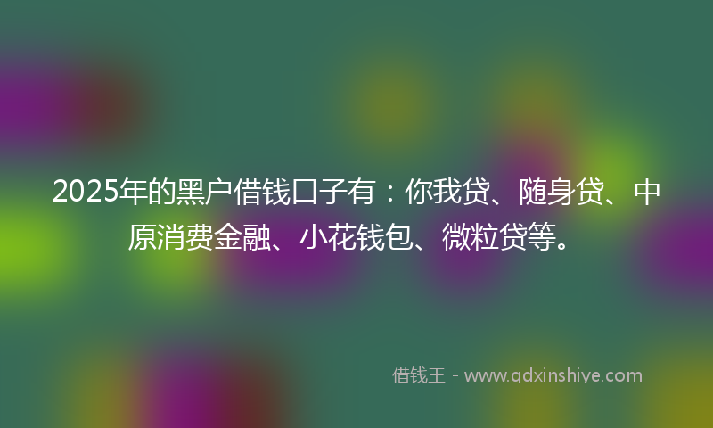 2025年的黑户借钱口子有：你我贷、随身贷、中原消费金融、小花钱包、微粒贷等。