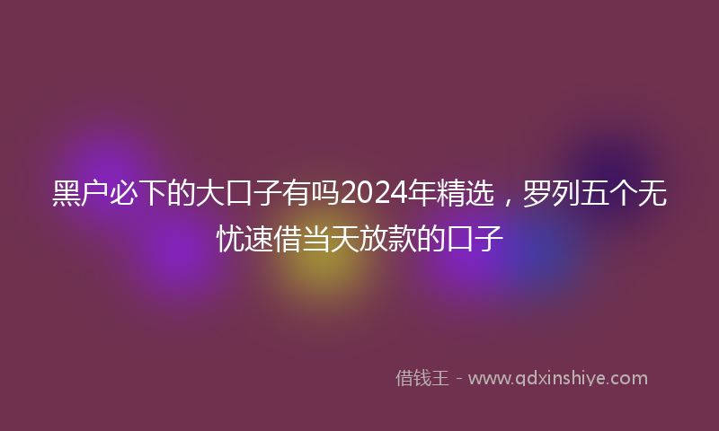 黑户必下的大口子有吗2024年精选，罗列五个无忧速借当天放款的口子