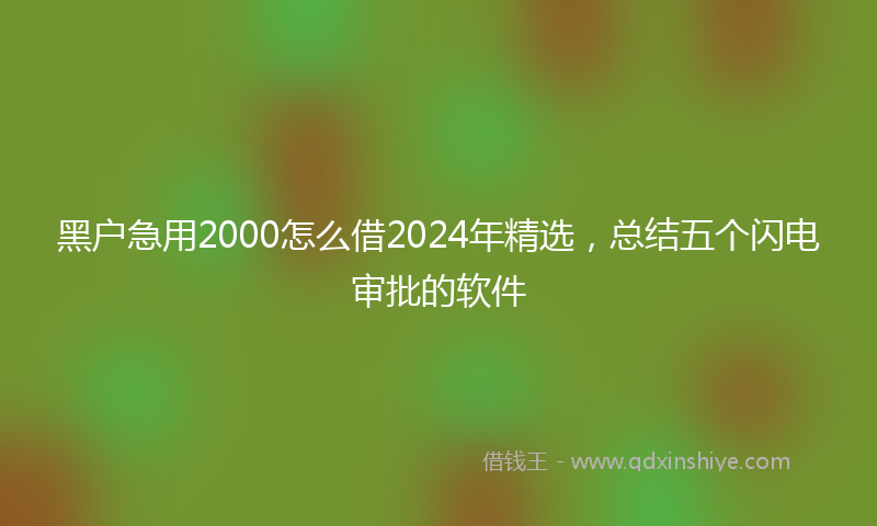 黑户急用2000怎么借2024年精选，总结五个闪电审批的软件