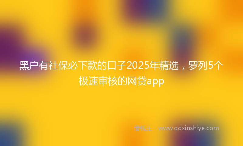 黑户有社保必下款的口子2025年精选，罗列5个极速审核的网贷app