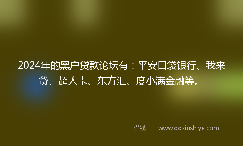 2024年的黑户贷款论坛有：平安口袋银行、我来贷、超人卡、东方汇、度小满金融等。