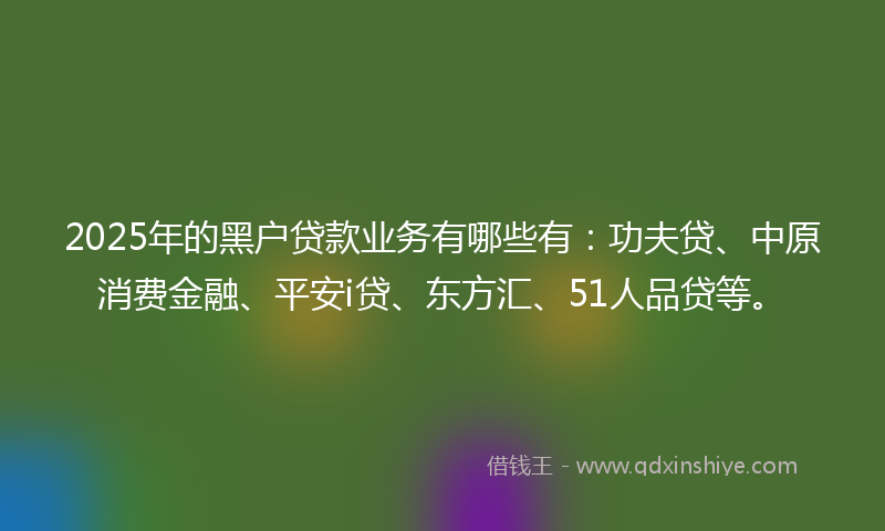 2025年的黑户贷款业务有哪些有：功夫贷、中原消费金融、平安i贷、东方汇、51人品贷等。