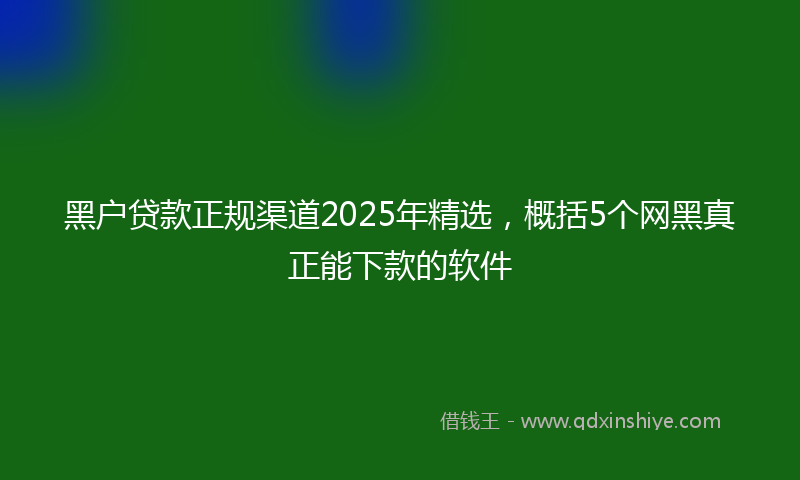 黑户贷款正规渠道2025年精选，概括5个网黑真正能下款的软件