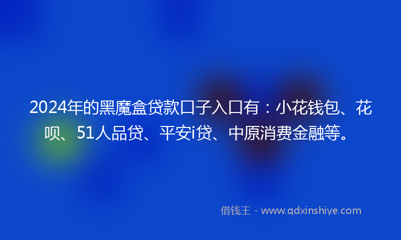 2024年的黑魔盒贷款口子入口有：小花钱包、花呗、51人品贷、平安i贷、中原消费金融等。