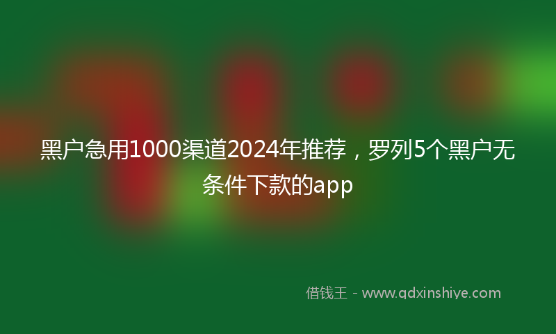 黑户急用1000渠道2024年推荐，罗列5个黑户无条件下款的app