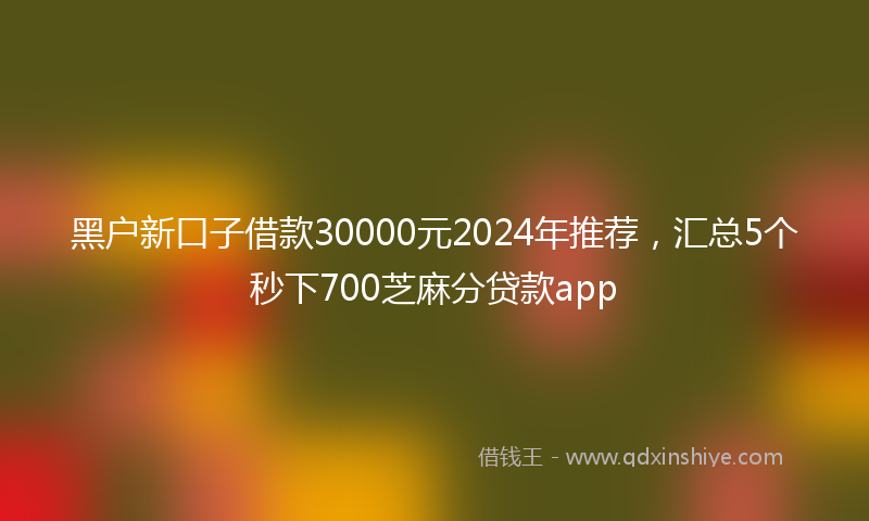 黑户新口子借款30000元2024年推荐，汇总5个秒下700芝麻分贷款app