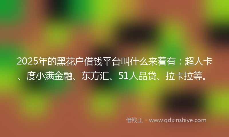 2025年的黑花户借钱平台叫什么来着有：超人卡、度小满金融、东方汇、51人品贷、拉卡拉等。