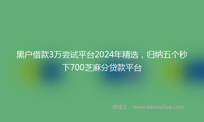 黑户借款3万尝试平台2024年精选，归纳五个秒下700芝麻分贷款平台