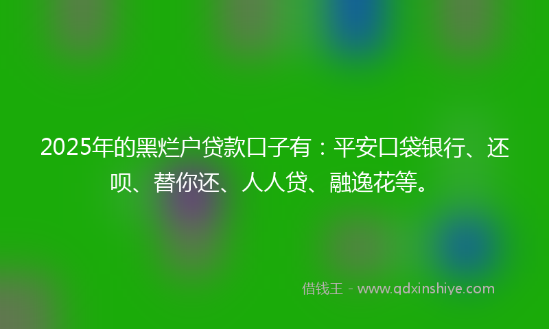 2025年的黑烂户贷款口子有：平安口袋银行、还呗、替你还、人人贷、融逸花等。