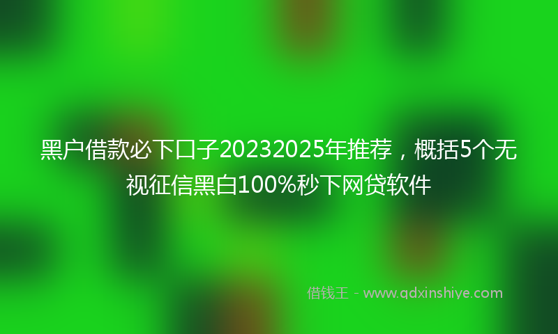 黑户借款必下口子20232025年推荐，概括5个无视征信黑白100%秒下网贷软件
