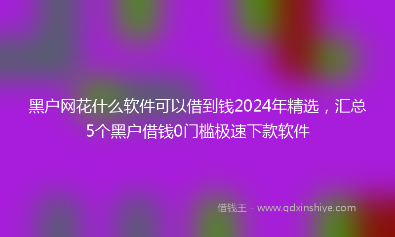 黑户网花什么软件可以借到钱2024年精选，汇总5个黑户借钱0门槛极速下款软件