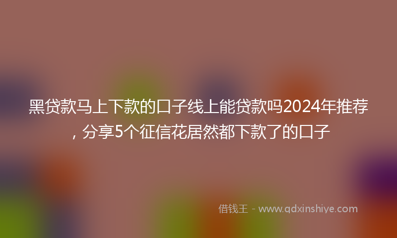 黑贷款马上下款的口子线上能贷款吗2024年推荐，分享5个征信花居然都下款了的口子